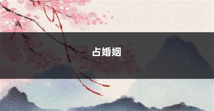 占婚姻