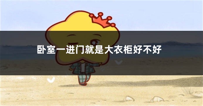 卧室一进门就是大衣柜好不好