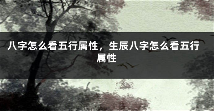 八字怎么看五行属性，生辰八字怎么看五行属性