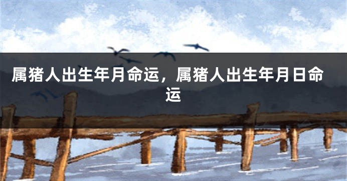 属猪人出生年月命运，属猪人出生年月日命运