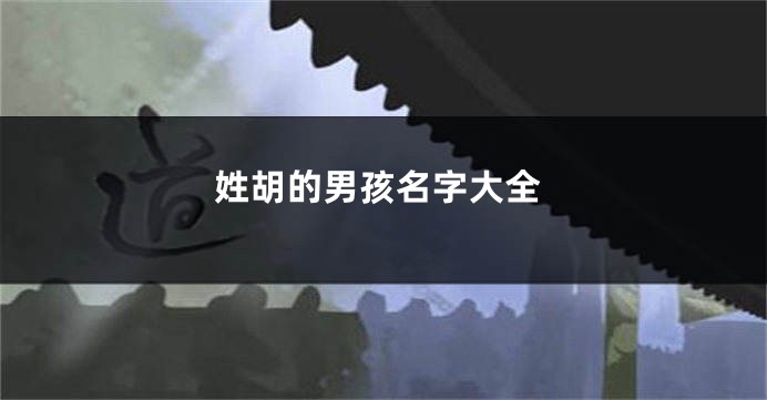 姓胡的男孩名字大全