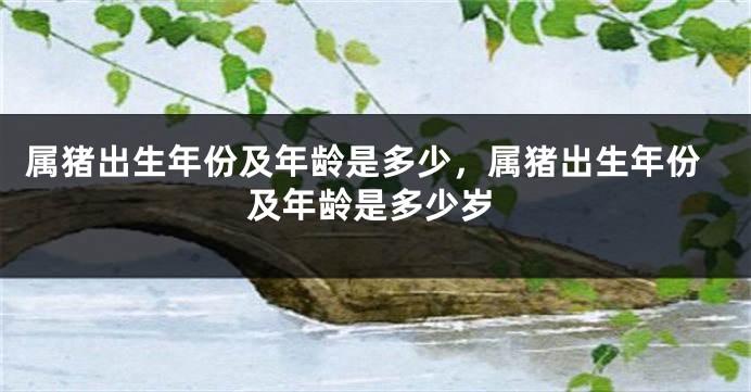 属猪出生年份及年龄是多少，属猪出生年份及年龄是多少岁