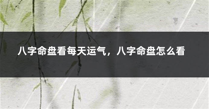 八字命盘看每天运气，八字命盘怎么看