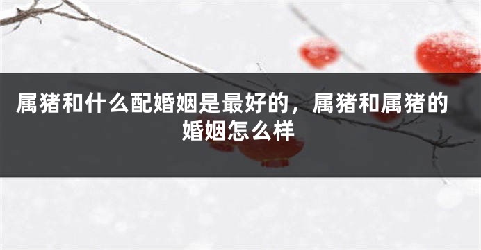 属猪和什么配婚姻是最好的，属猪和属猪的婚姻怎么样