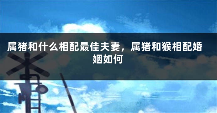 属猪和什么相配最佳夫妻，属猪和猴相配婚姻如何