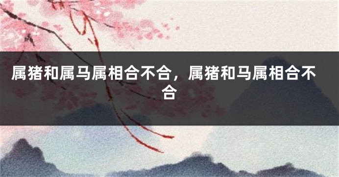 属猪和属马属相合不合，属猪和马属相合不合
