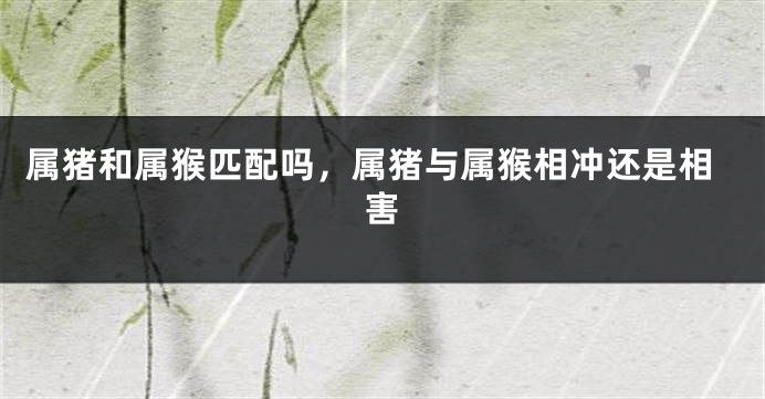 属猪和属猴匹配吗，属猪与属猴相冲还是相害