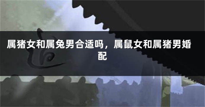 属猪女和属兔男合适吗，属鼠女和属猪男婚配