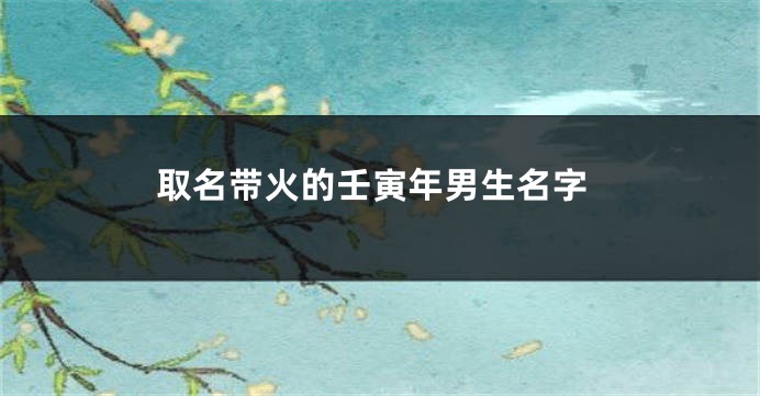 取名带火的壬寅年男生名字