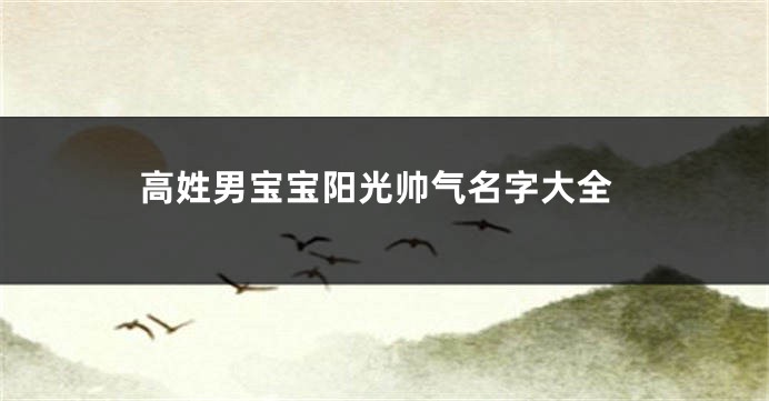 高姓男宝宝阳光帅气名字大全