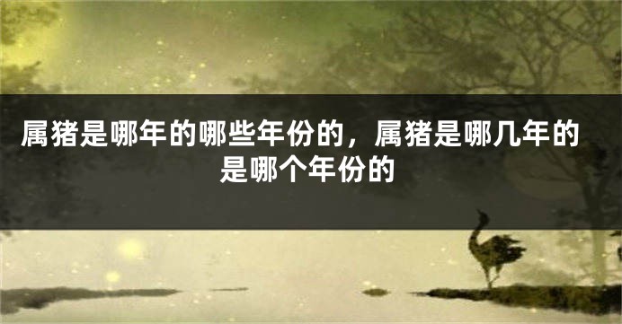 属猪是哪年的哪些年份的，属猪是哪几年的是哪个年份的