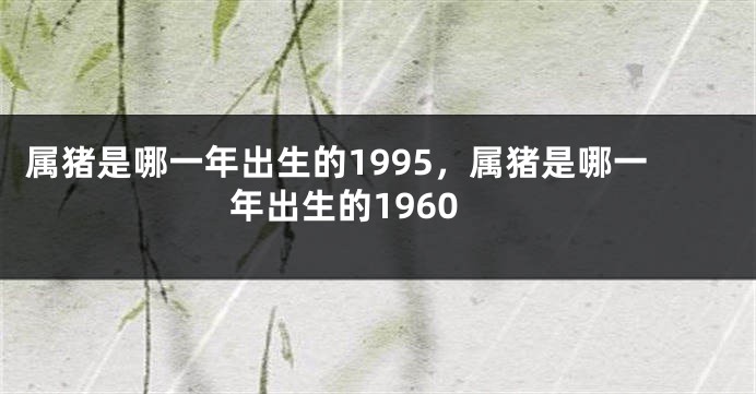 属猪是哪一年出生的1995，属猪是哪一年出生的1960
