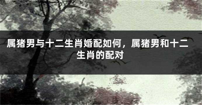 属猪男与十二生肖婚配如何，属猪男和十二生肖的配对
