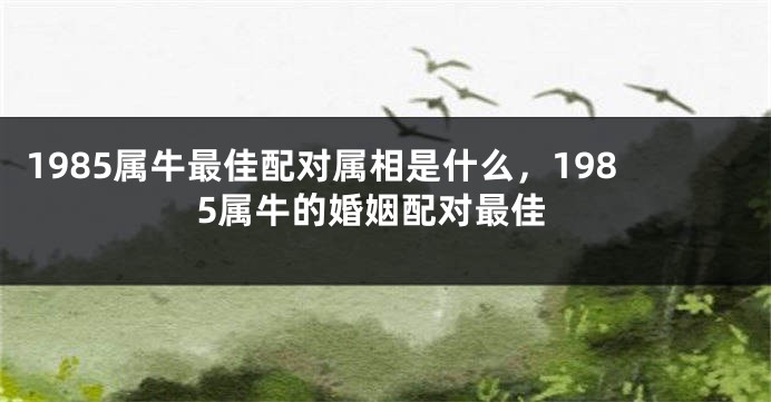 1985属牛最佳配对属相是什么，1985属牛的婚姻配对最佳