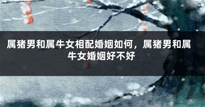 属猪男和属牛女相配婚姻如何，属猪男和属牛女婚姻好不好