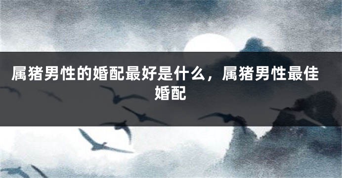 属猪男性的婚配最好是什么，属猪男性最佳婚配