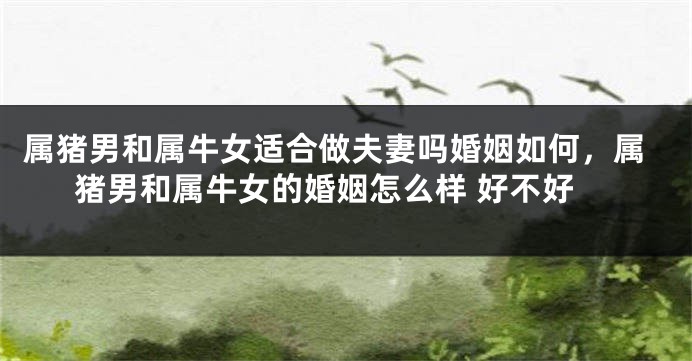 属猪男和属牛女适合做夫妻吗婚姻如何，属猪男和属牛女的婚姻怎么样 好不好