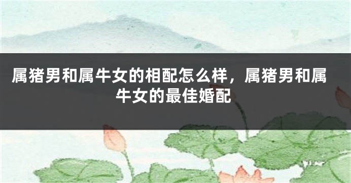 属猪男和属牛女的相配怎么样，属猪男和属牛女的最佳婚配