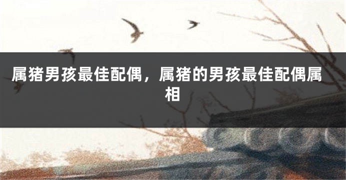 属猪男孩最佳配偶，属猪的男孩最佳配偶属相