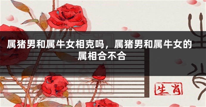 属猪男和属牛女相克吗，属猪男和属牛女的属相合不合