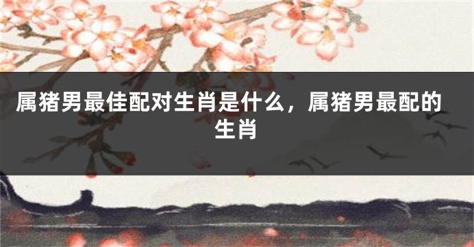 属猪男最佳配对生肖是什么，属猪男最配的生肖
