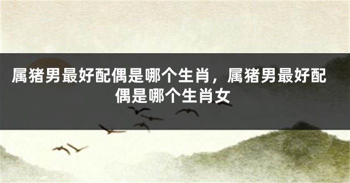 属猪男最好配偶是哪个生肖，属猪男最好配偶是哪个生肖女
