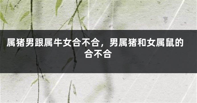 属猪男跟属牛女合不合，男属猪和女属鼠的合不合