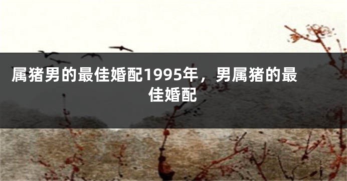 属猪男的最佳婚配1995年，男属猪的最佳婚配