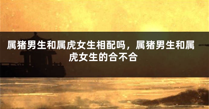 属猪男生和属虎女生相配吗，属猪男生和属虎女生的合不合