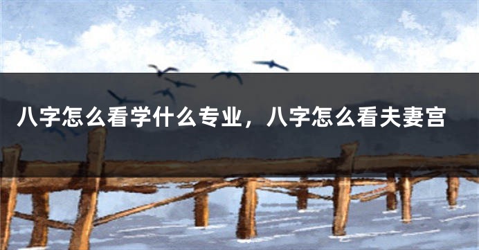 八字怎么看学什么专业，八字怎么看夫妻宫