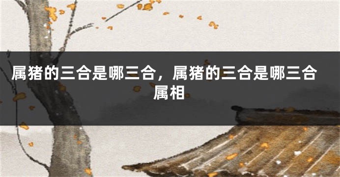 属猪的三合是哪三合，属猪的三合是哪三合属相
