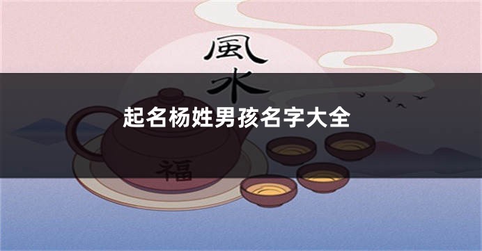 起名杨姓男孩名字大全
