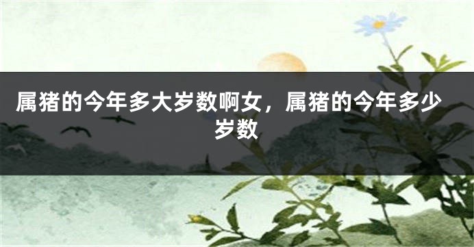 属猪的今年多大岁数啊女，属猪的今年多少岁数