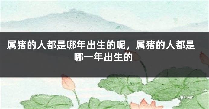属猪的人都是哪年出生的呢，属猪的人都是哪一年出生的