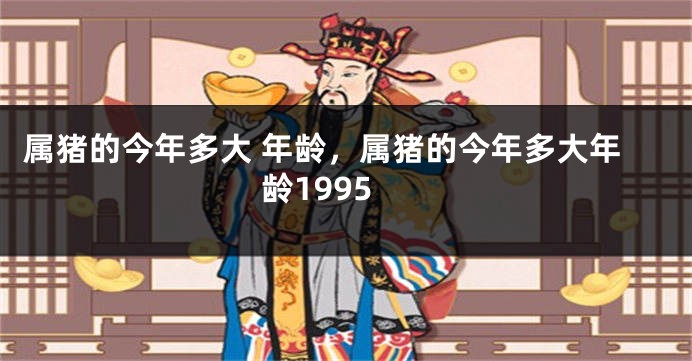 属猪的今年多大 年龄，属猪的今年多大年龄1995