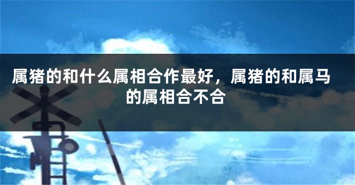属猪的和什么属相合作最好，属猪的和属马的属相合不合
