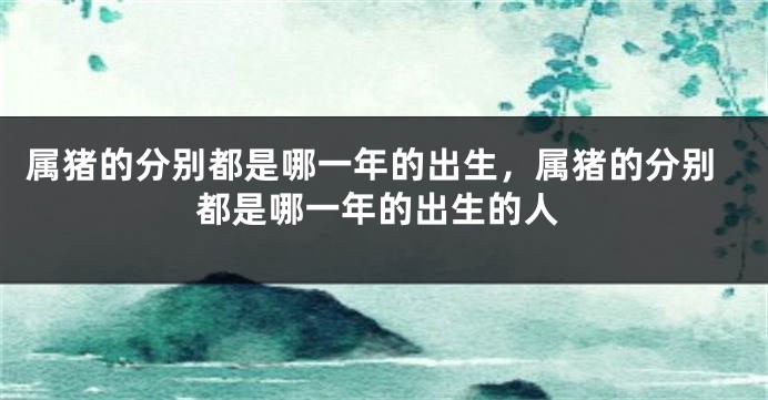 属猪的分别都是哪一年的出生，属猪的分别都是哪一年的出生的人