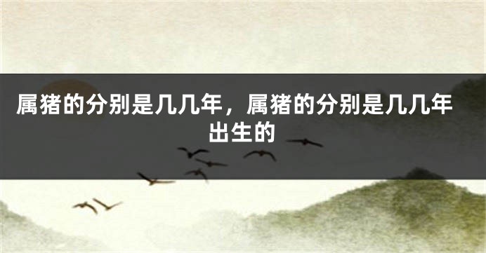 属猪的分别是几几年，属猪的分别是几几年出生的
