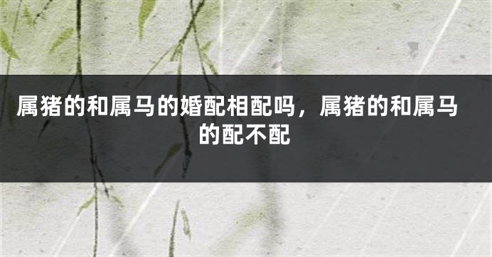 属猪的和属马的婚配相配吗，属猪的和属马的配不配