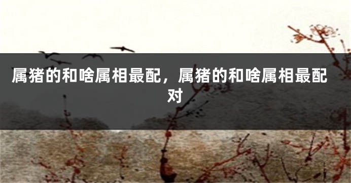属猪的和啥属相最配，属猪的和啥属相最配对