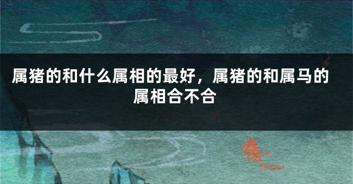属猪的和什么属相的最好，属猪的和属马的属相合不合