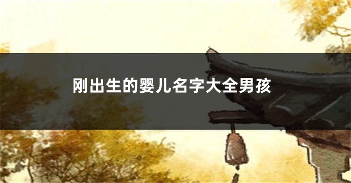 刚出生的婴儿名字大全男孩