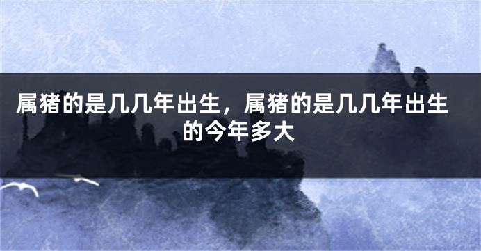 属猪的是几几年出生，属猪的是几几年出生的今年多大