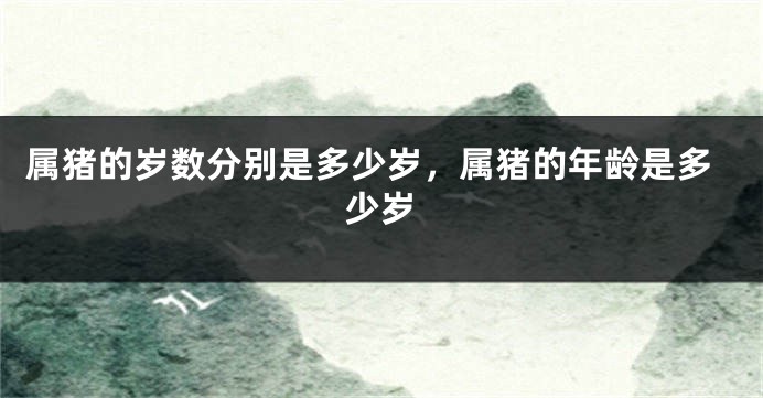 属猪的岁数分别是多少岁，属猪的年龄是多少岁