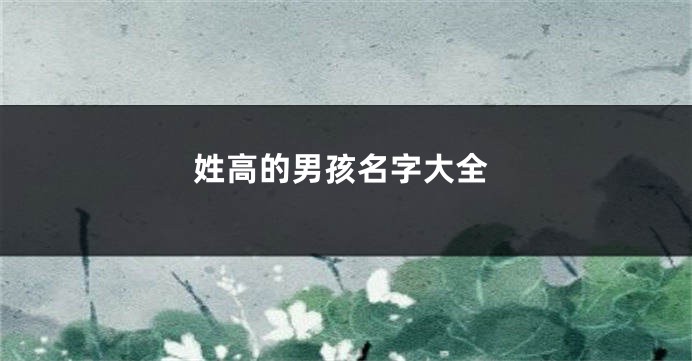 姓高的男孩名字大全