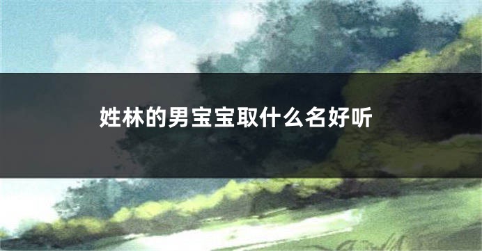姓林的男宝宝取什么名好听