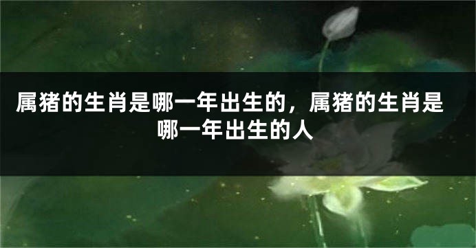 属猪的生肖是哪一年出生的，属猪的生肖是哪一年出生的人