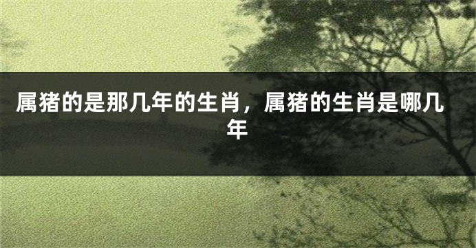 属猪的是那几年的生肖，属猪的生肖是哪几年
