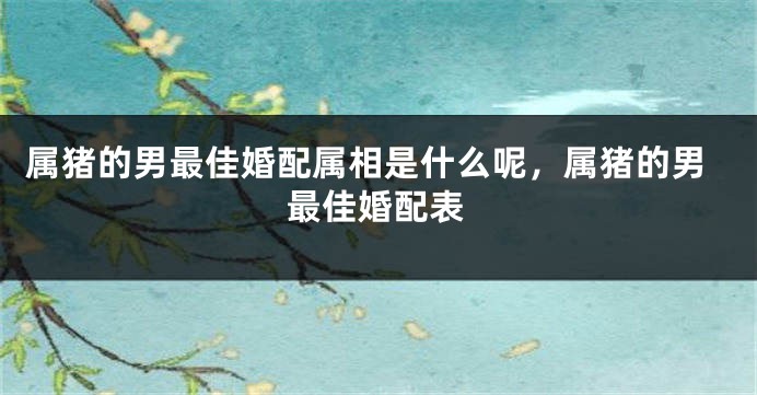属猪的男最佳婚配属相是什么呢，属猪的男最佳婚配表