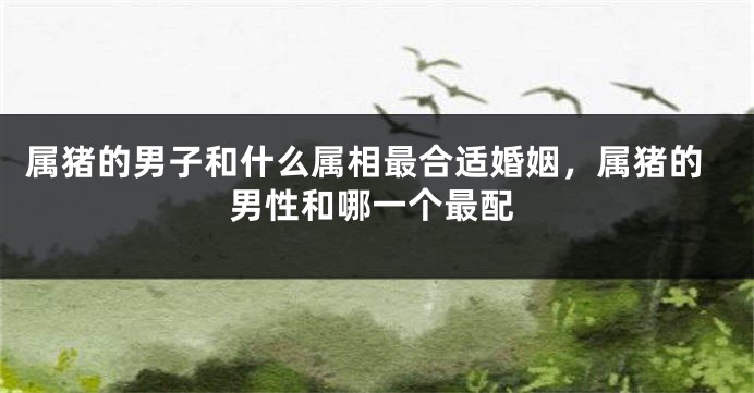 属猪的男子和什么属相最合适婚姻，属猪的男性和哪一个最配